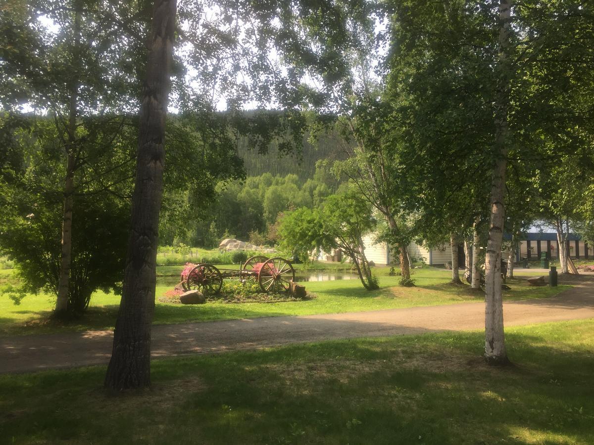 Chena Hot Springs Resort Buitenkant foto