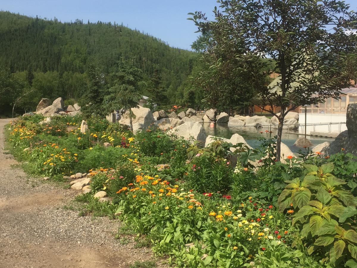 Chena Hot Springs Resort Buitenkant foto