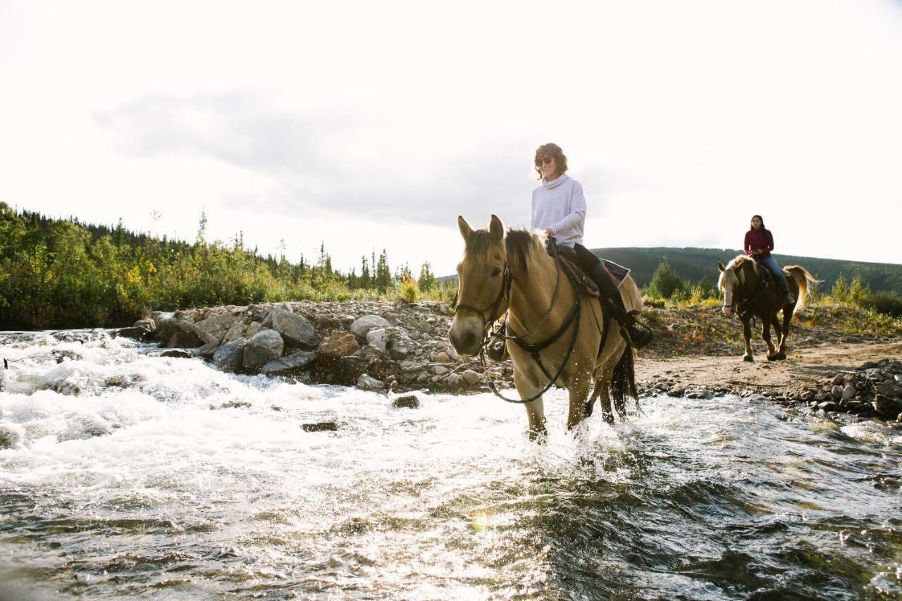 Chena Hot Springs Resort Buitenkant foto